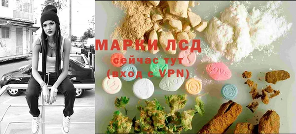 ГАЛЛЮЦИНОГЕННЫЕ ГРИБЫ Бородино